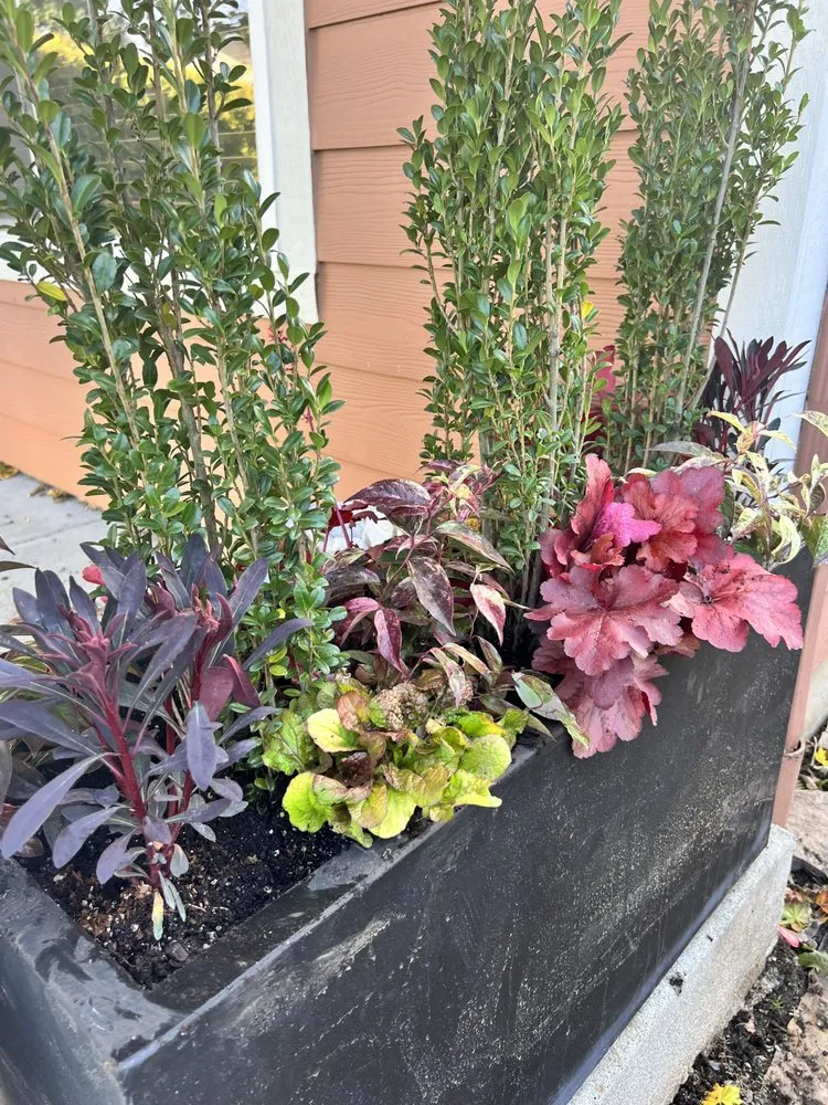 Reliable residential landscaping in Portland, OR - Fruition-Group