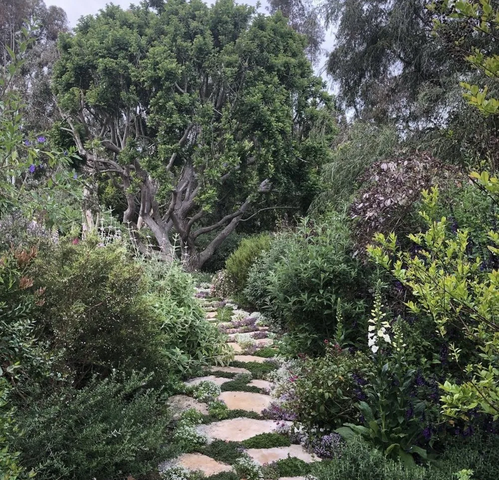 Custom yard cleanup service for outdoor upgrades in Del Mar, CA by Fruitmommy Organic Solutions