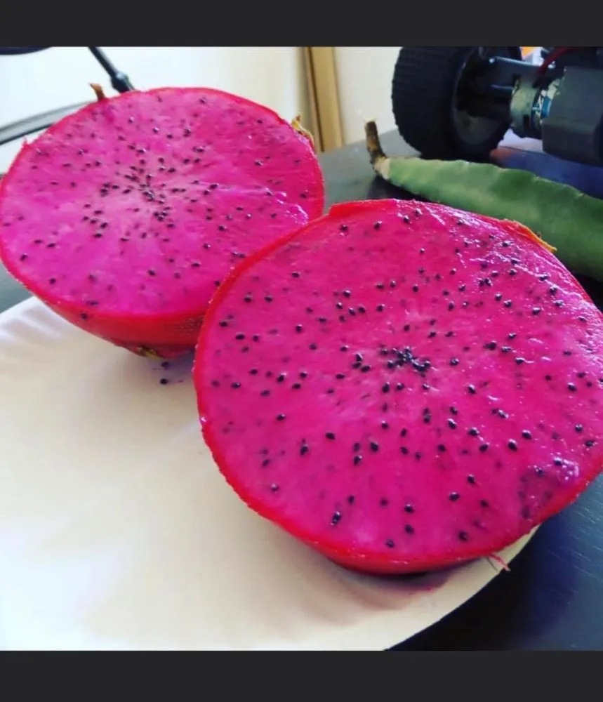 Top-rated landscape design for year-round maintenance across Del Mar, CA - Fruitmommy Organic Solutions