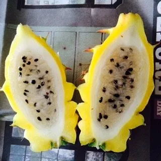 Custom landscape design in Del Mar, CA - Fruitmommy Organic Solutions