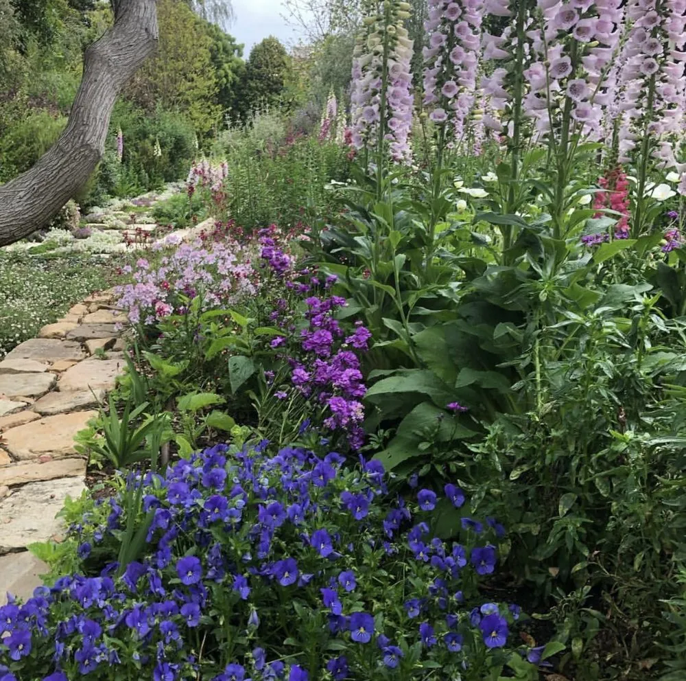 Expert landscape design in Del Mar, CA - Fruitmommy Organic Solutions