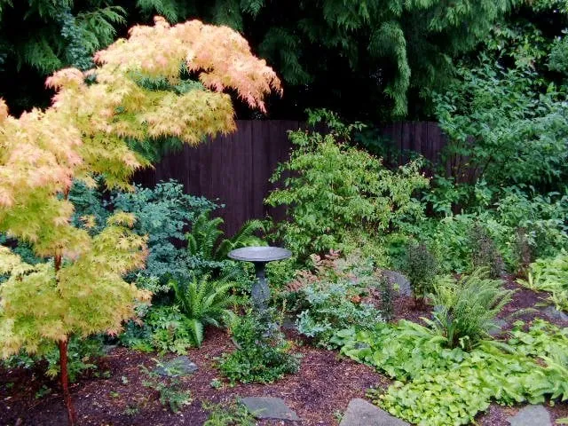 Local lawn mowing service experts serving Seattle, WA - Fruits to Fronds Garden Design
