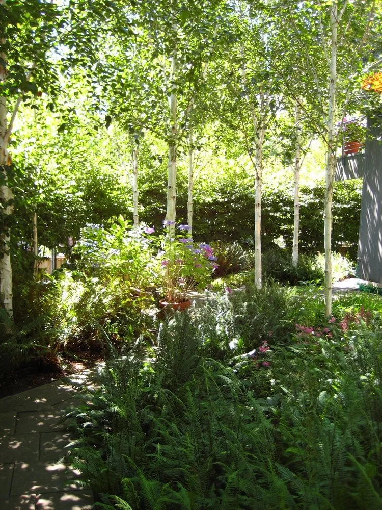 Affordable landscape design with custom design in Seattle, WA by Fruits to Fronds Garden Design