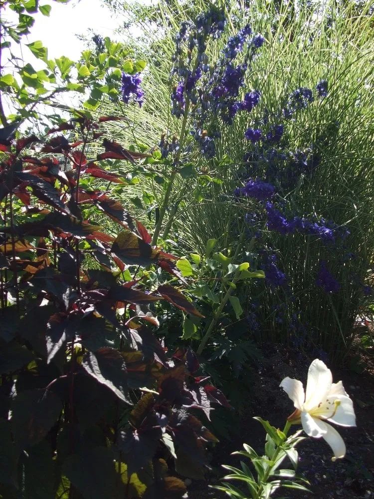 Affordable lawn mowing service experts serving Seattle, WA - Fruits to Fronds Garden Design