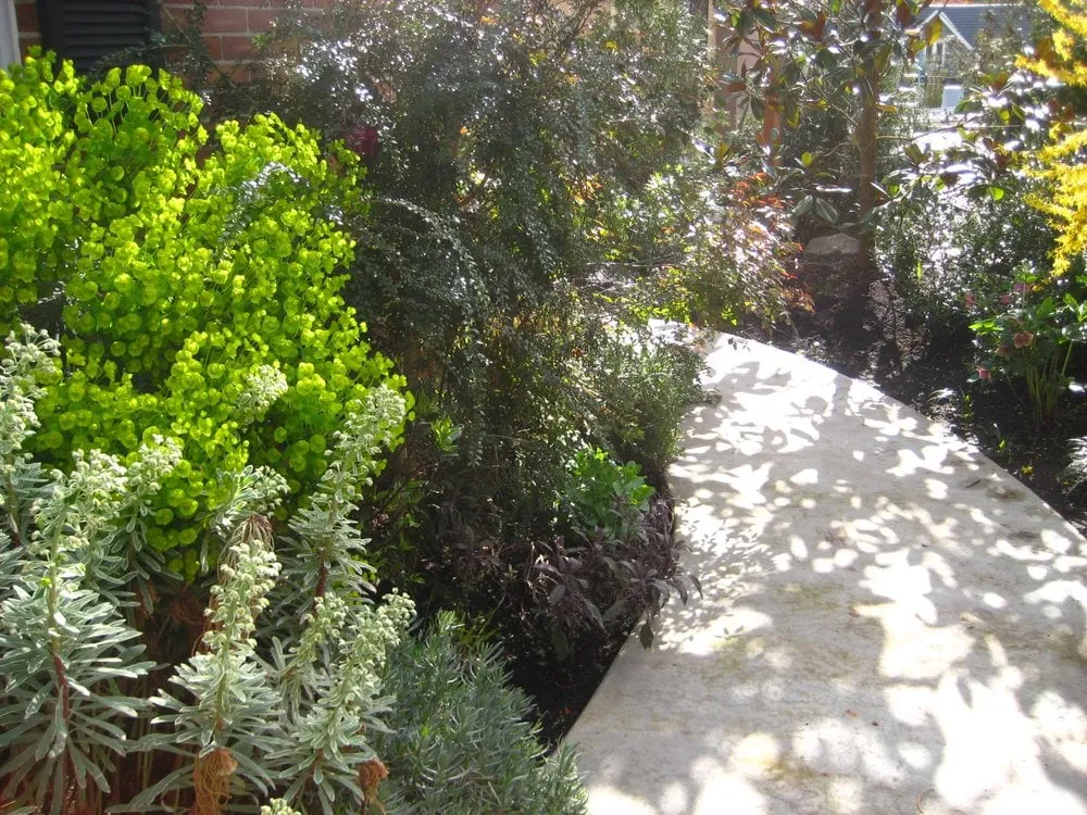 Affordable landscape installation experts serving Seattle, WA - Fruits to Fronds Garden Design