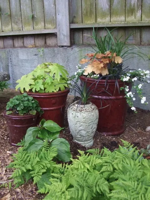 Local yard cleanup service for outdoor upgrades in Seattle, WA by Fruits to Fronds Garden Design