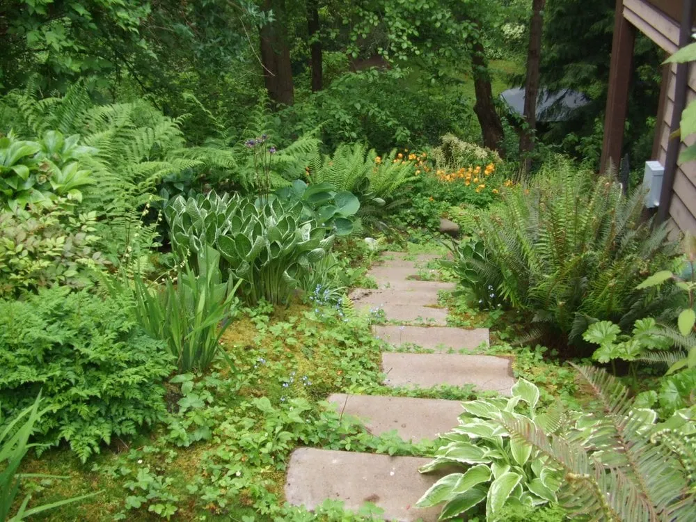 Local garden landscaping experts serving Seattle, WA - Fruits to Fronds Garden Design