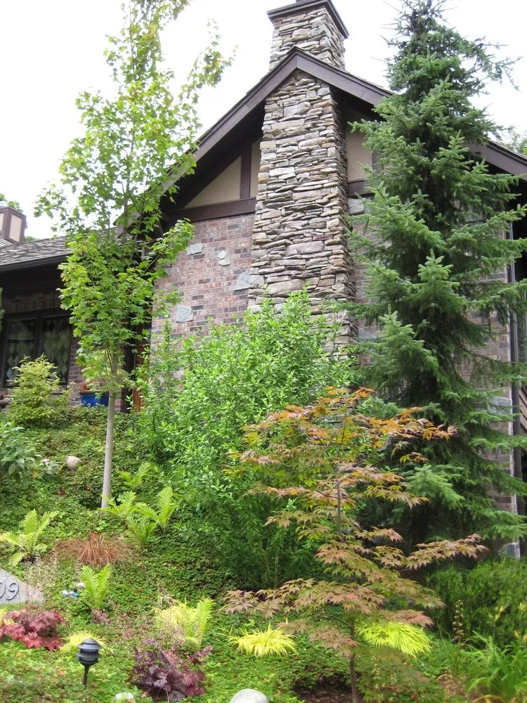 Reliable outdoor landscaping near you in Seattle, WA by Fruits to Fronds Garden Design