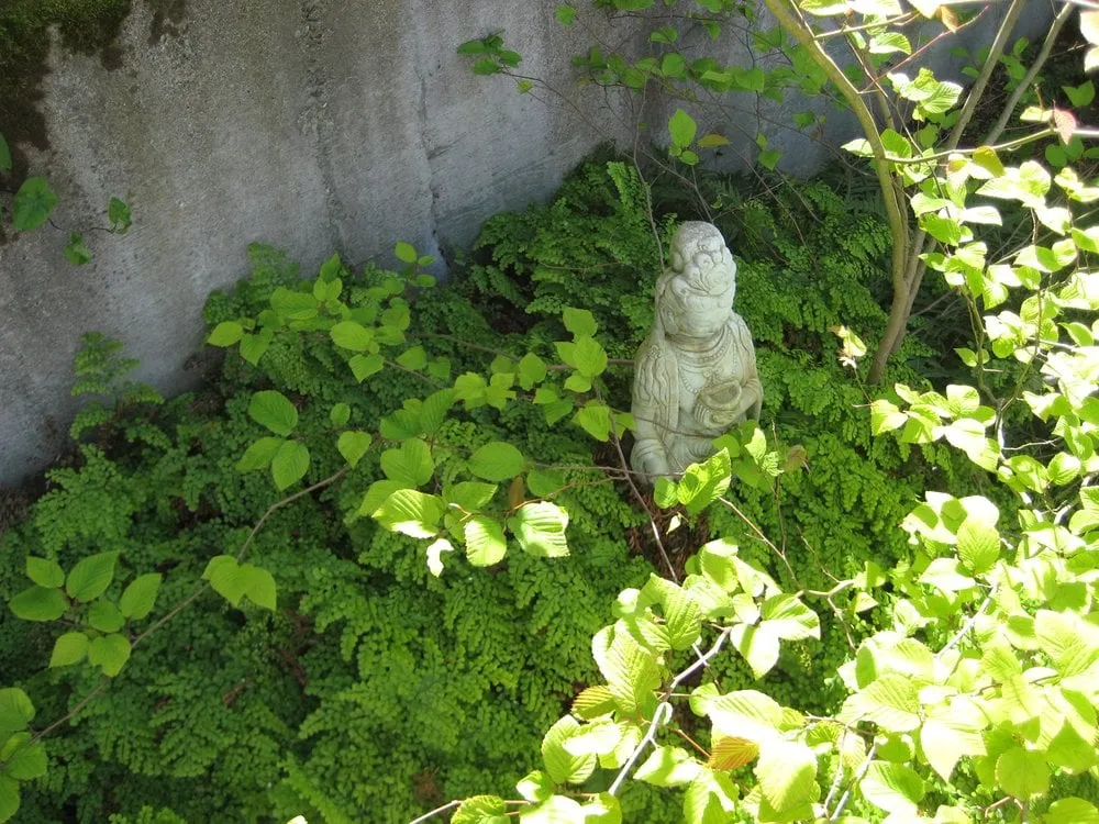 Top-rated landscape installation in Seattle, WA by Fruits to Fronds Garden Design