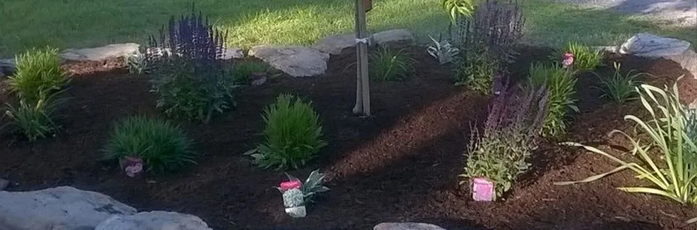 Expert yard cleanup service in Lebanon, NH by Frye Landscaping