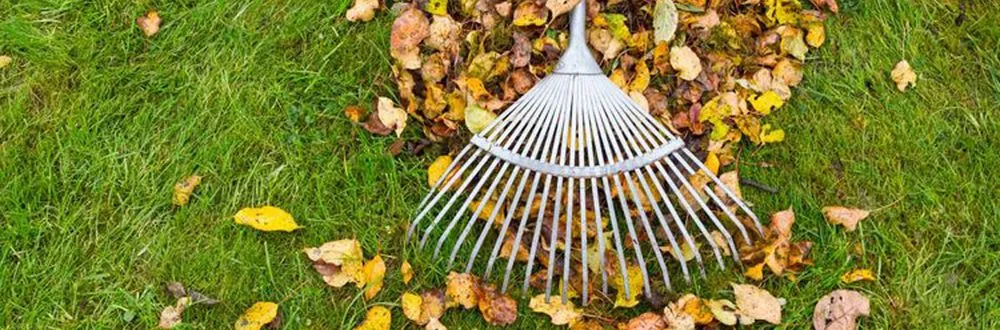 Top-rated outdoor landscaping for year-round maintenance across Lebanon, NH - Frye Landscaping