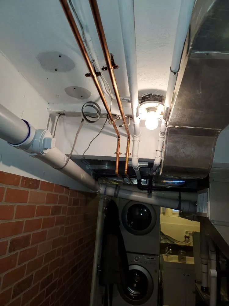 Reliable yard cleanup service experts serving Milford, MA - Fryer & Sons Construction And Maintenance