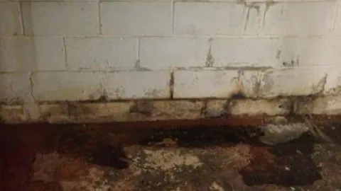 Local lawn mowing service for homes in Kingsville, MD by Fry's Stuccoing