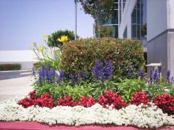 Top-rated yard maintenance in Fremont, CA - FS Commercial Landscape