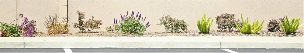 Custom residential landscaping experts serving Fremont, CA - FS Commercial Landscape