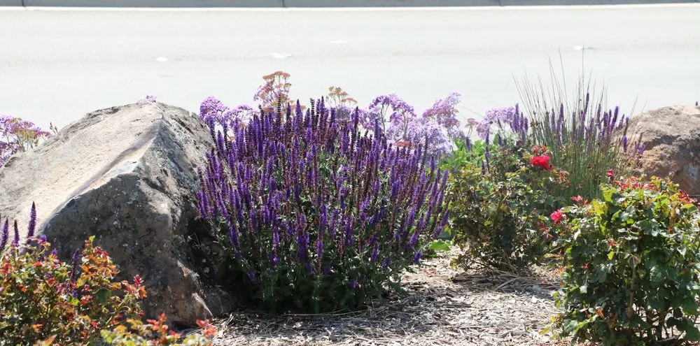Expert outdoor landscaping experts serving Fremont, CA - FS Commercial Landscape