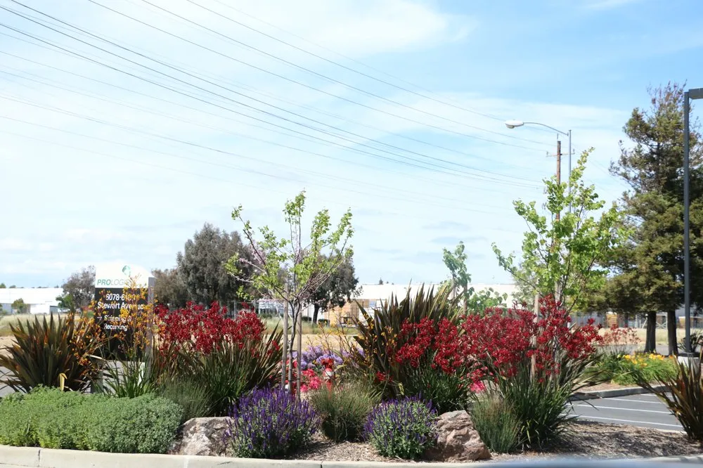 Affordable landscape installation experts serving Fremont, CA - FS Commercial Landscape
