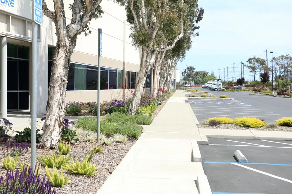 Top-rated landscape installation in Fremont, CA - FS Commercial Landscape
