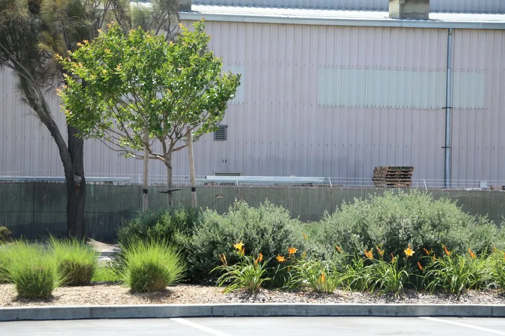 Top-rated garden landscaping experts serving Fremont, CA - FS Commercial Landscape