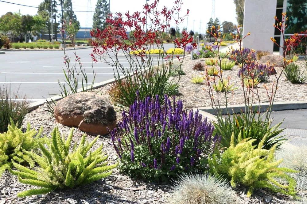 Affordable lawn mowing service for homes across Fremont, CA - FS Commercial Landscape