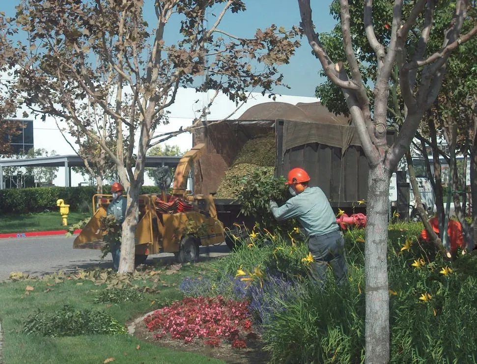 Trusted lawn care service in Fremont, CA by FS Commercial Landscape