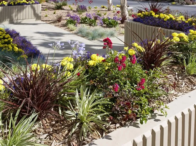 Expert outdoor landscaping for outdoor upgrades in Fremont, CA by FS Commercial Landscape