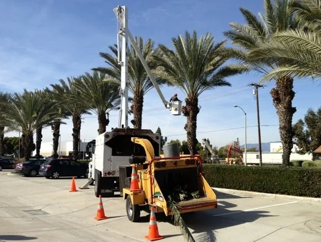 Trusted lawn mowing service in Fremont, CA by FS Commercial Landscape