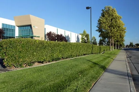 Trusted garden landscaping in Fremont, CA - FS Commercial Landscape
