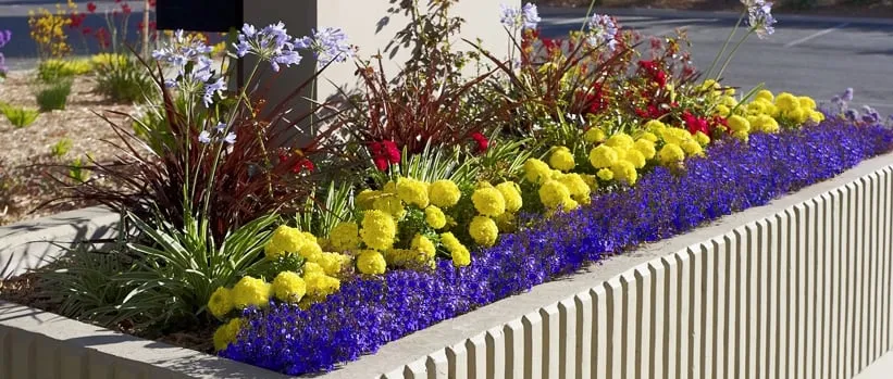 Trusted garden landscaping experts serving Fremont, CA - FS Commercial Landscape