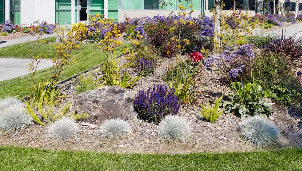Expert lawn care service in Fremont, CA - FS Commercial Landscape