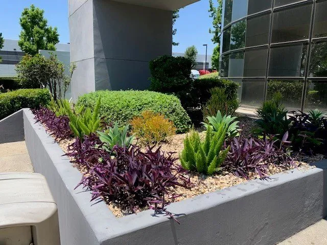 Affordable residential landscaping for homes across Riverside, CA - FS Commercial Landscape