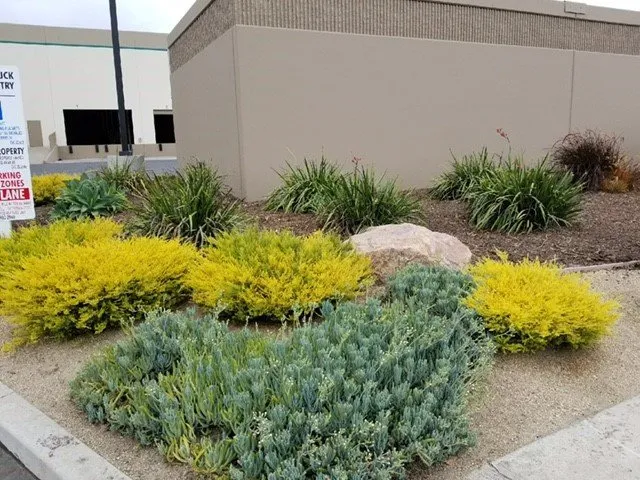 Top-rated landscaping services in Riverside, CA - FS Commercial Landscape