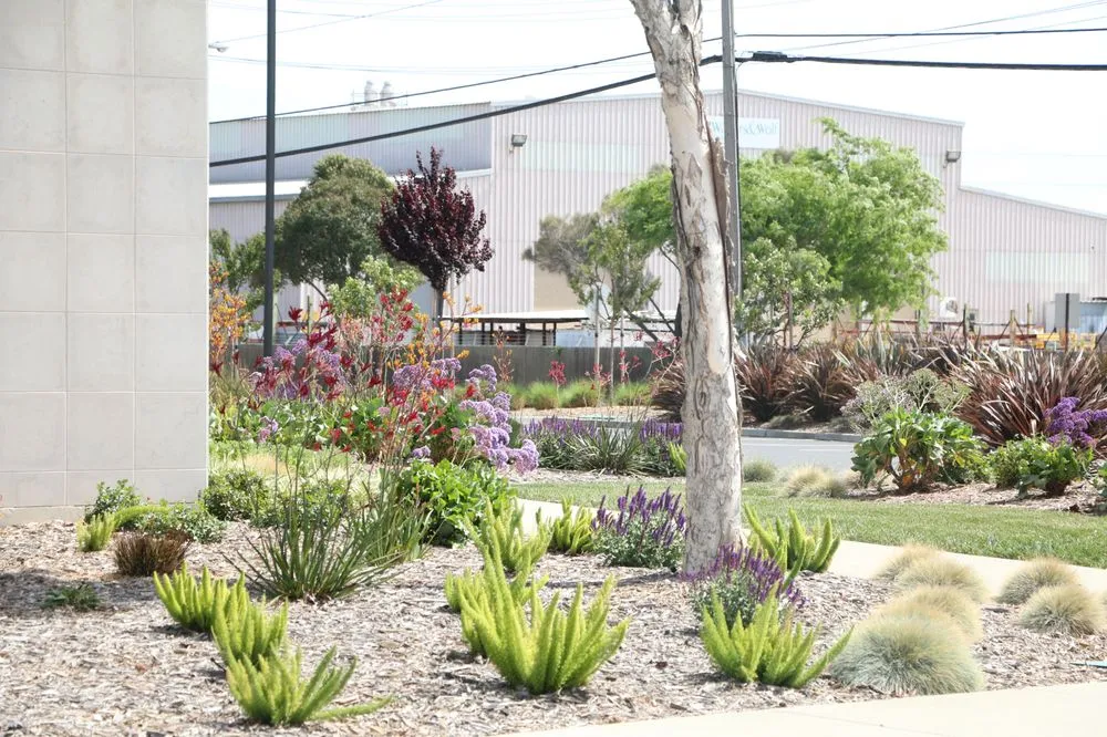 Affordable landscape design in Riverside, CA - FS Commercial Landscape
