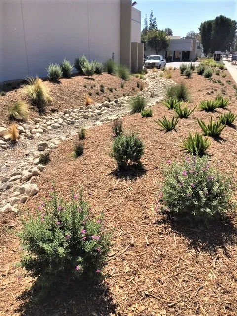 Custom outdoor landscaping experts serving Riverside, CA - FS Commercial Landscape