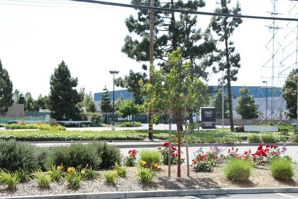 Local yard maintenance near you across Riverside, CA - FS Commercial Landscape