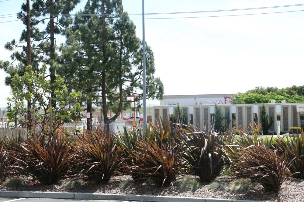 Top-rated garden landscaping in Riverside, CA - FS Commercial Landscape