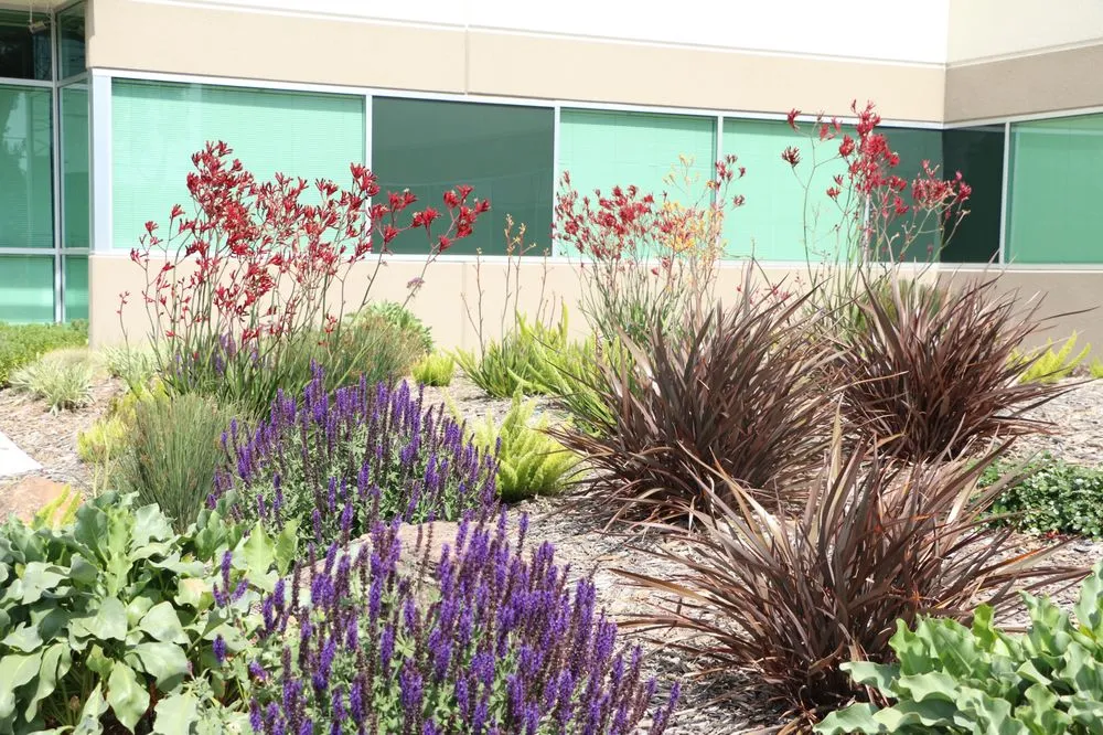 Top-rated garden landscaping for outdoor upgrades in Riverside, CA by FS Commercial Landscape