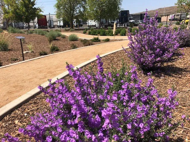 Custom landscape design in Riverside, CA - FS Commercial Landscape