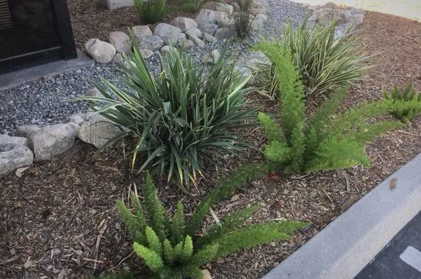 Custom lawn mowing service in Riverside, CA by FS Commercial Landscape