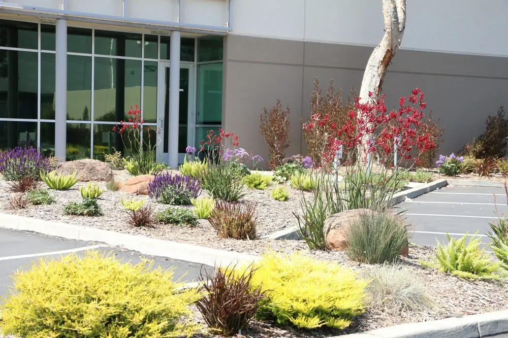 Expert outdoor landscaping experts serving Riverside, CA - FS Commercial Landscape