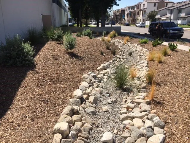 Expert yard maintenance in Riverside, CA by FS Commercial Landscape