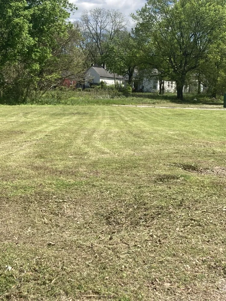 Reliable landscape installation for residential properties across Birmingham, AL - F&S Detail