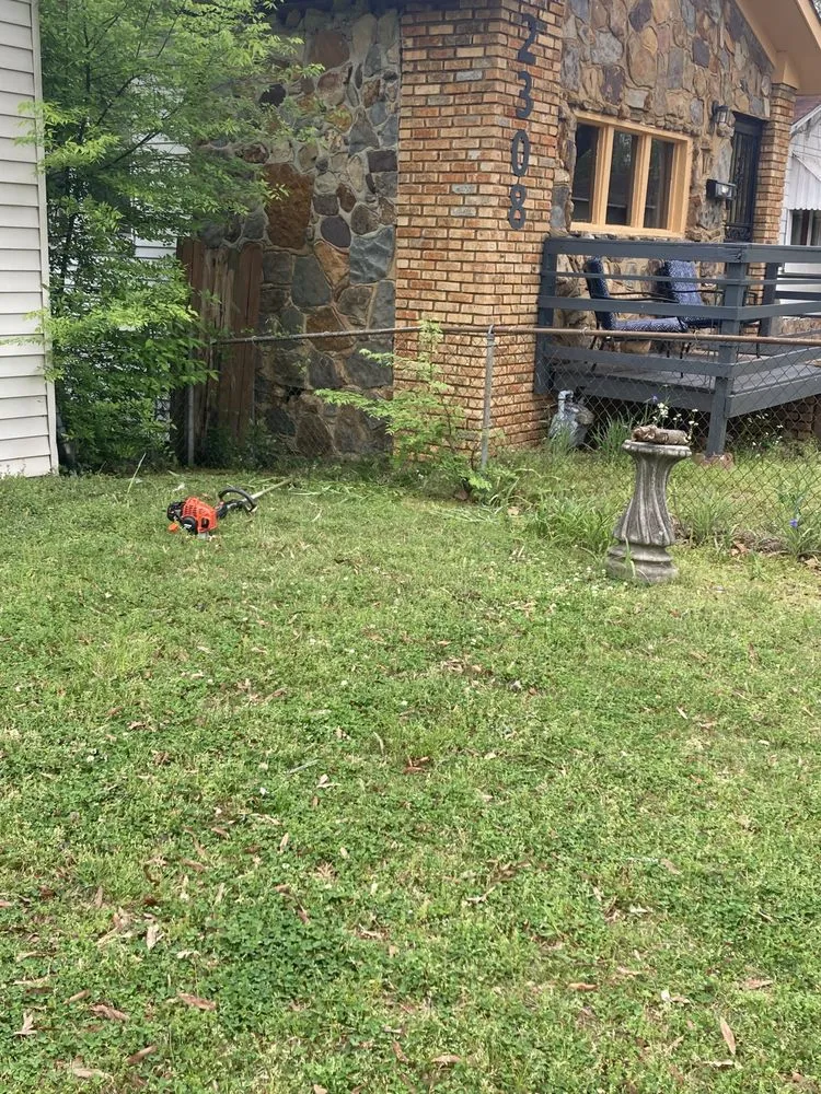 Top-rated landscape installation for year-round maintenance in Birmingham, AL by F&S Detail