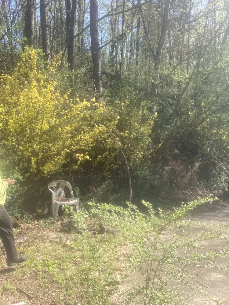 Affordable garden landscaping in Birmingham, AL by F&S Detail