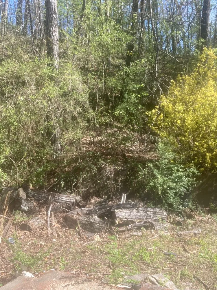 Local outdoor landscaping in Birmingham, AL - F&S Detail