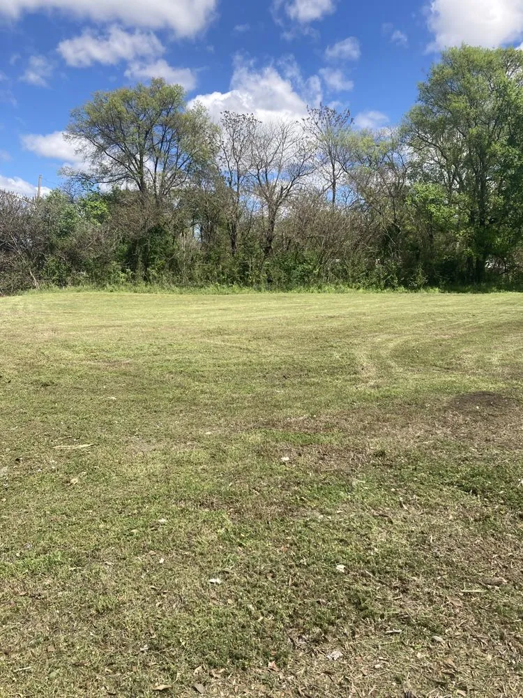 Professional yard cleanup service for outdoor upgrades in Birmingham, AL by F&S Detail