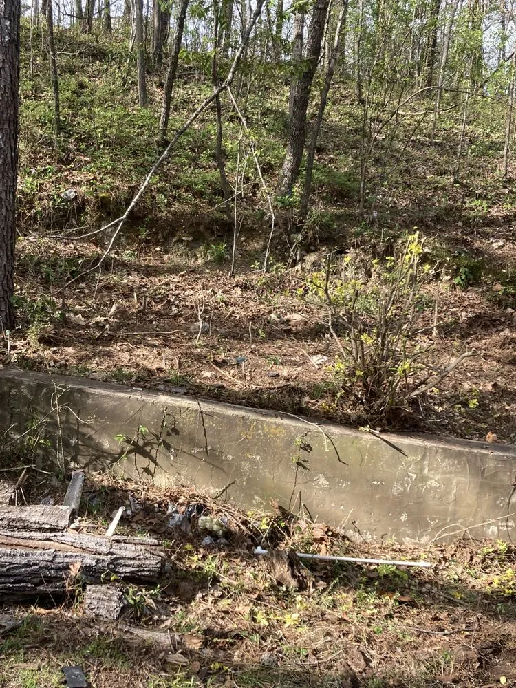 Local landscape design in Birmingham, AL - F&S Detail