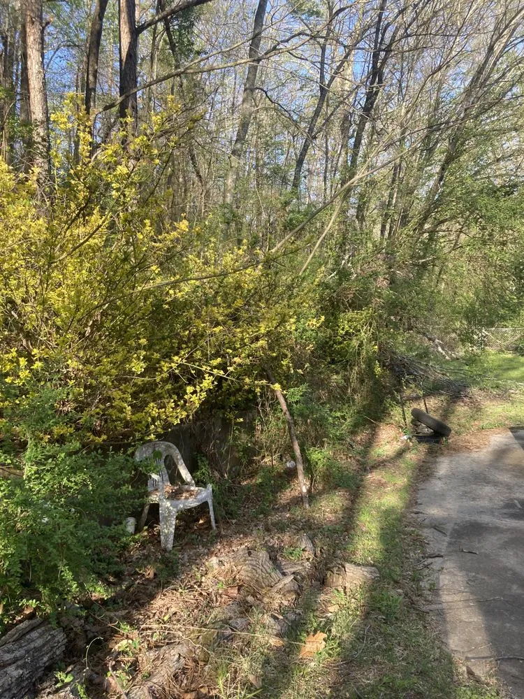 Top-rated landscaping services experts serving Birmingham, AL - F&S Detail