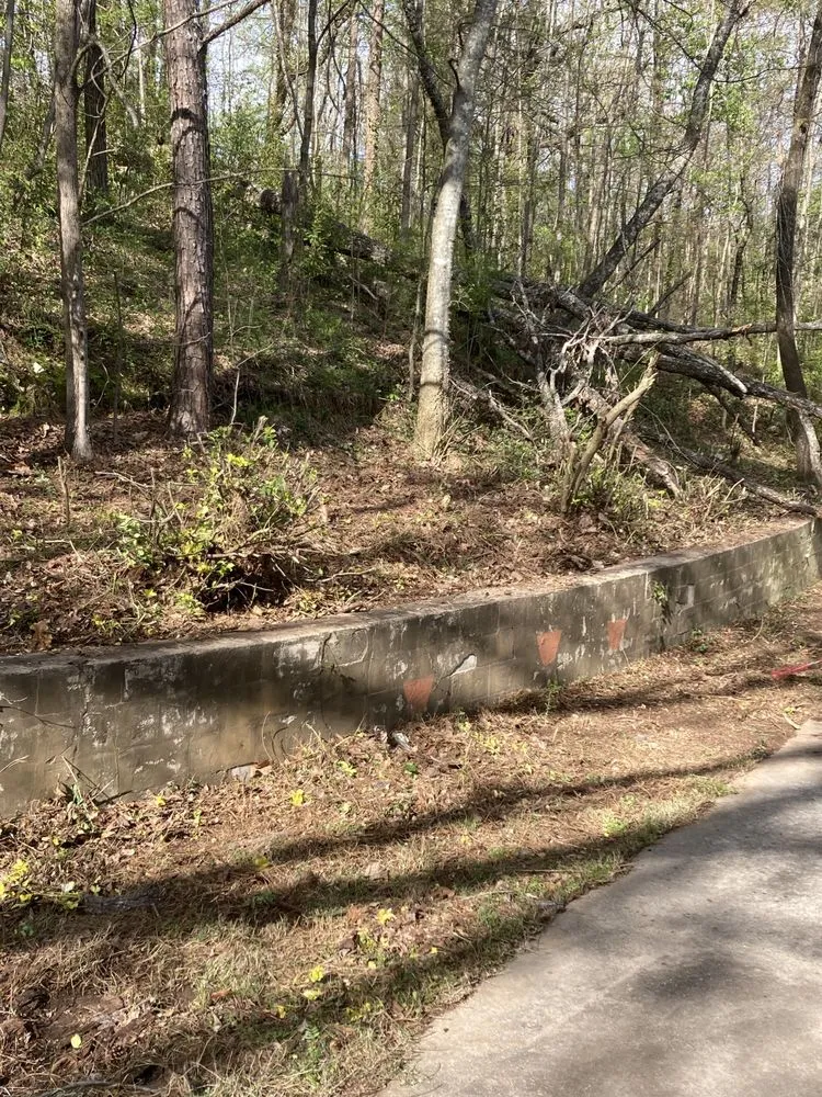 Top-rated garden landscaping for outdoor upgrades across Birmingham, AL - F&S Detail