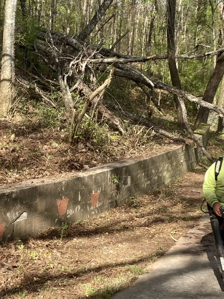 Trusted landscape installation in Birmingham, AL by F&S Detail